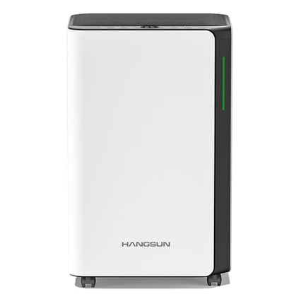 HANGSUN 20 L/Tag Luftentfeuchter für Luftentfeuchter für Zuhause für Drying Clothes und Feuchtigkeit