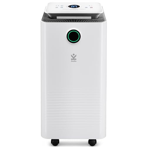 Avalla X-125 Luftentfeuchter für Zuhause