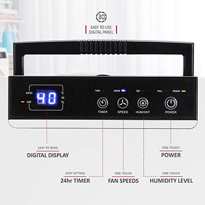 NETTA 12 L/Tag Energiesparender Luftentfeuchter – Digital Control Panel