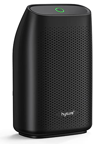 hysure Luftentfeuchter für Zuhause Feuchtigkeit 700mL