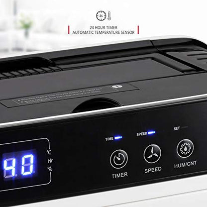 NETTA 12 L/Tag Energiesparender Luftentfeuchter – Digital Control Panel