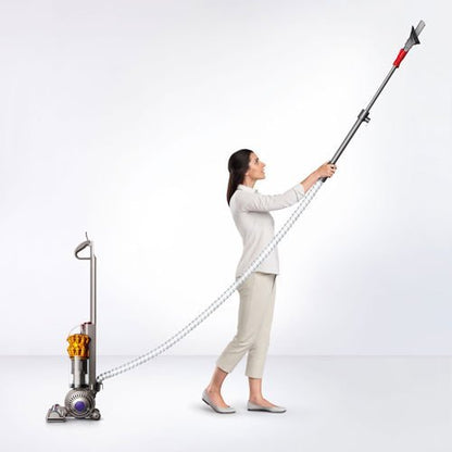 Dyson Ball Kompakt Animal Upright Staubsauger