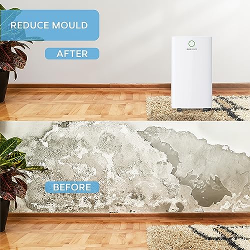 MONHOUSE 25 L/Tag Digitaler Luftentfeuchter – großer 4-L-Tank