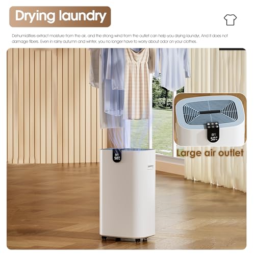 BAPHIYA 20 L Luftentfeuchter mit HEPA Filter, Energiesparend Compressor