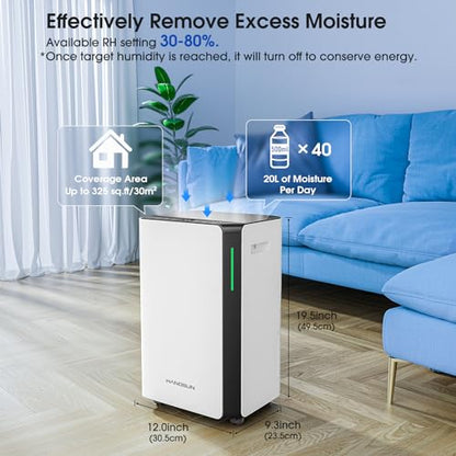 HANGSUN 20 L/Tag Luftentfeuchter für Luftentfeuchter für Zuhause für Drying Clothes und Feuchtigkeit