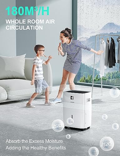 30L/Tag Luftentfeuchter für Zuhause, Luftentfeuchter