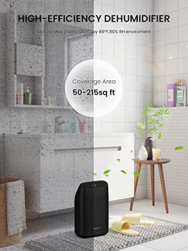 hysure Luftentfeuchter für Zuhause Feuchtigkeit 700mL