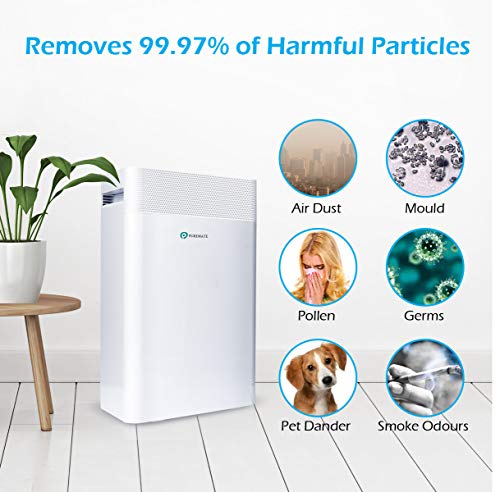 PureMate Luftreiniger für Zuhause 5 in1 mit Ioniser und Sleep Modus