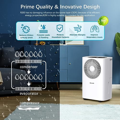 10L/Tag Luftentfeuchter für Zuhause,Compressor Luftentfeuchter