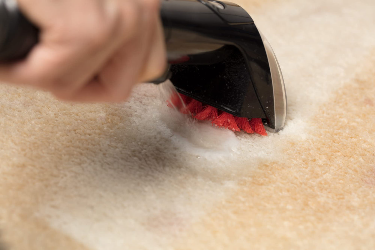 BISSELL SpotClean Pet