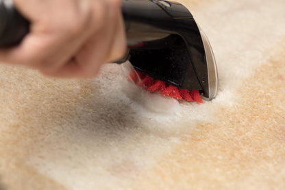 BISSELL SpotClean Pet